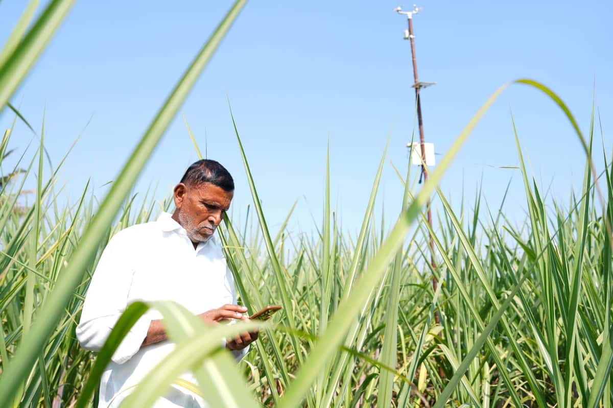 ‘Microsoft’s AI Tools Help Maha Farmers Increase Yield by 20%’