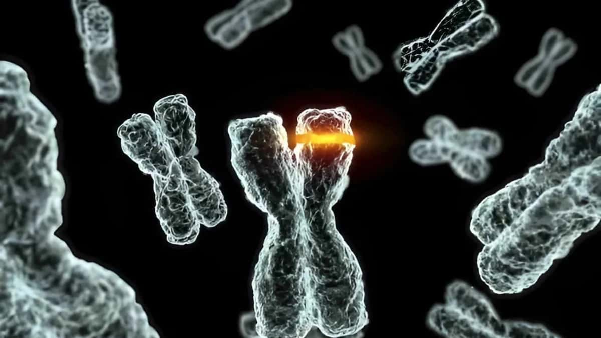Vaccine Discovery for AIDS and Cancer Is No Longer a Distant Dream