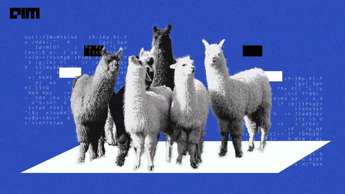 The Best LLaMa Models Based on Llama 2