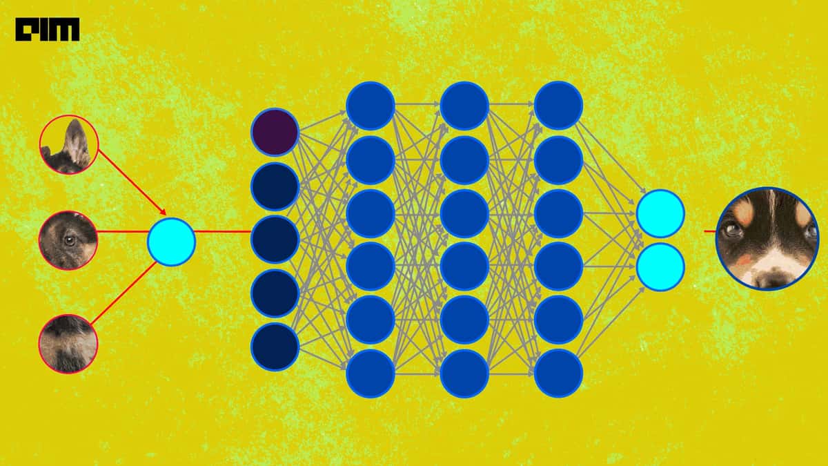 Complete Guide To VIT-AugReg: A PyTorch Image Model Descriptive Predictions