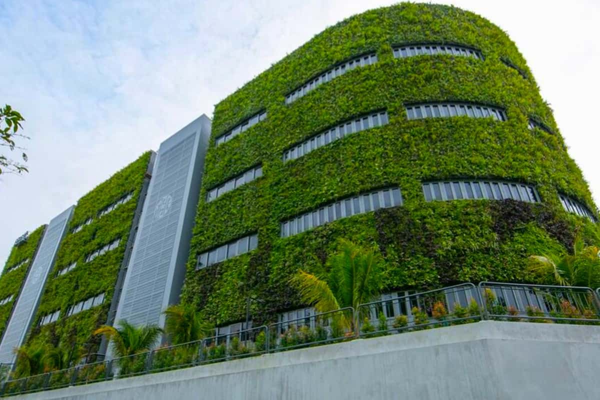Why Indian Cities Should Adopt Tech To Grow Urban Forests