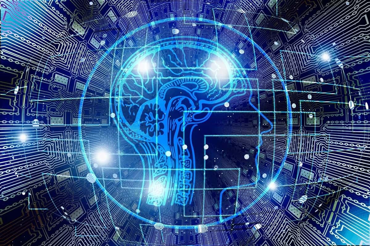 Use Of Algorithmic Decision Making & AI In Public Organisations