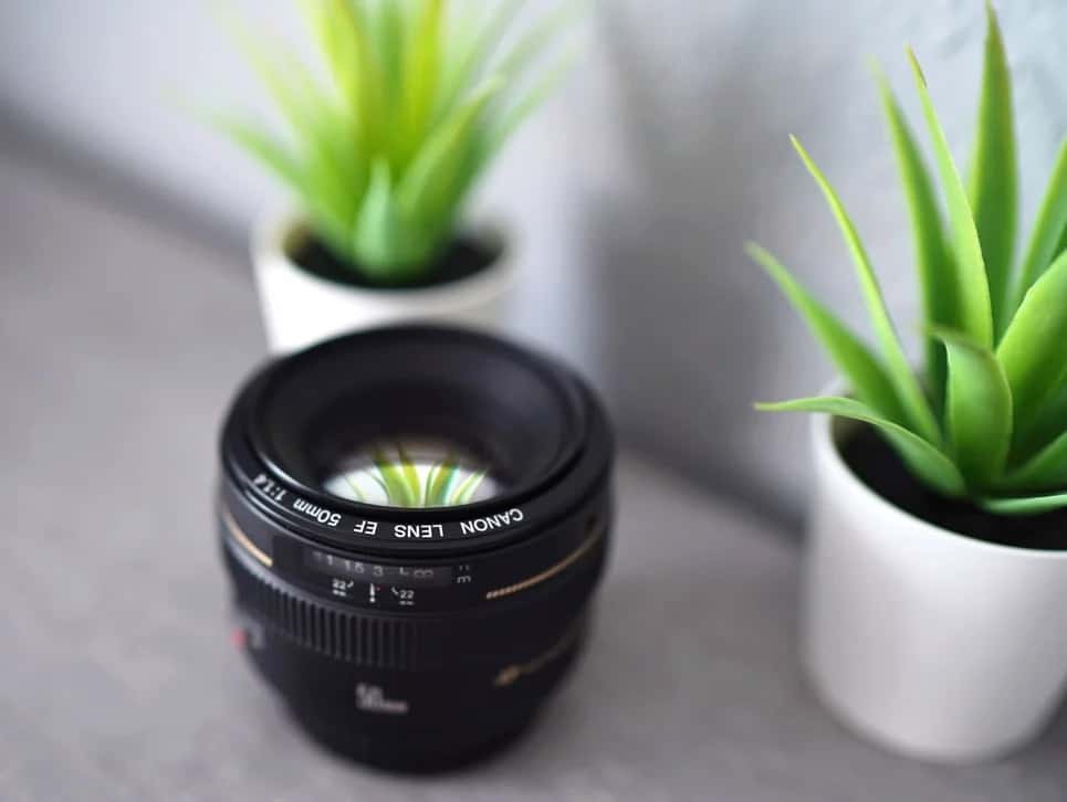 Top AI-Based Online Photo Editing Tools For 2020