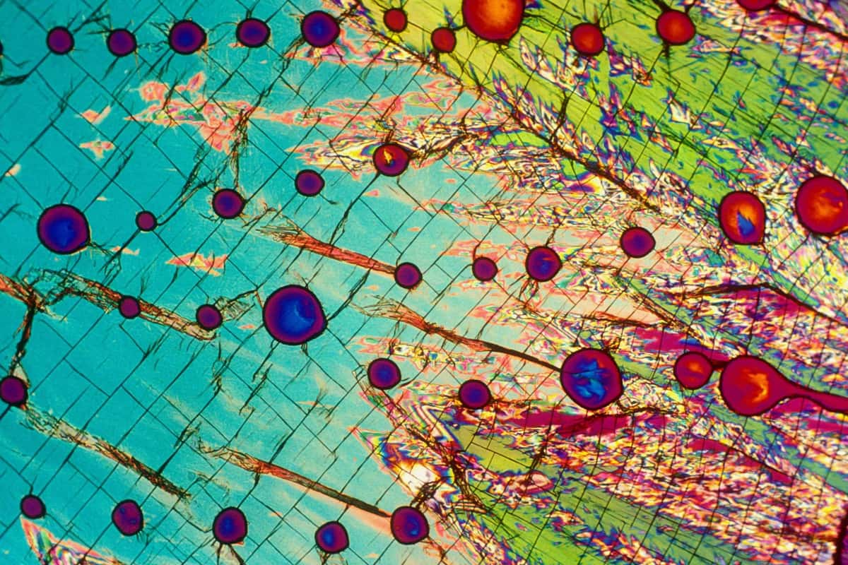What Is Molecular Machine Learning?
