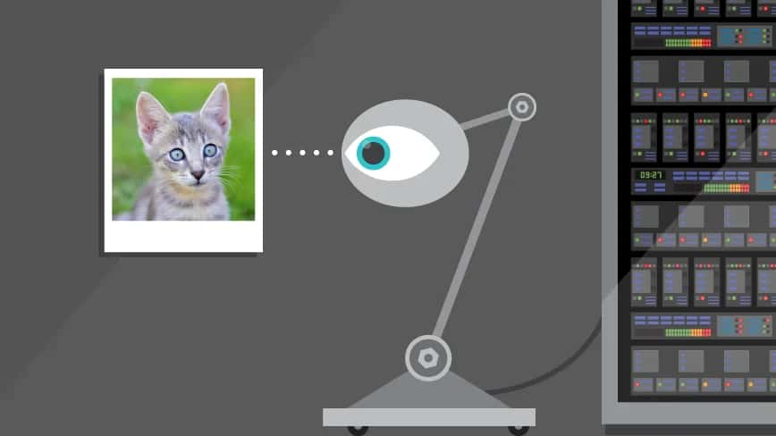 FastAI With TPU In PyTorch For Multi Class Image Classification