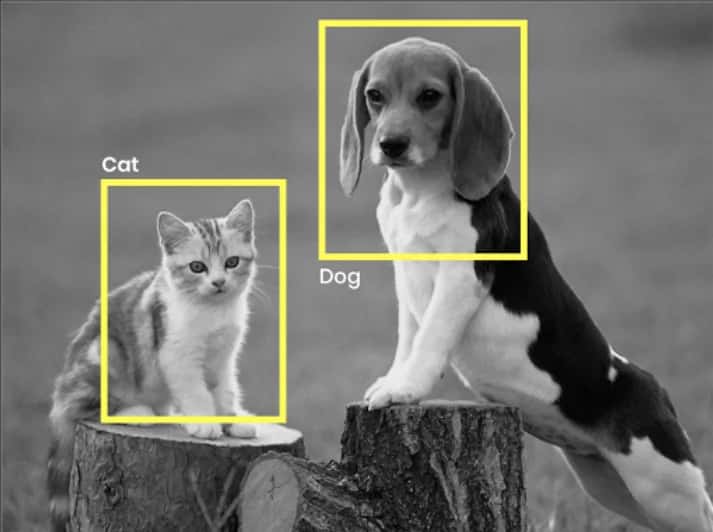 Computer Vision Models That Learn From Language