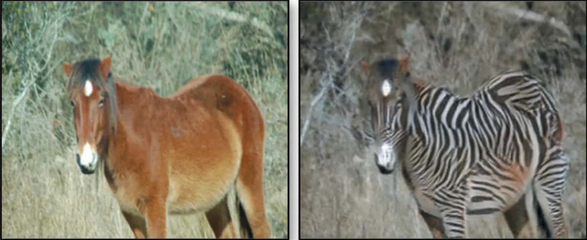 Hand-on Implementation of CycleGAN, Image-to-Image Translation using PyTorch