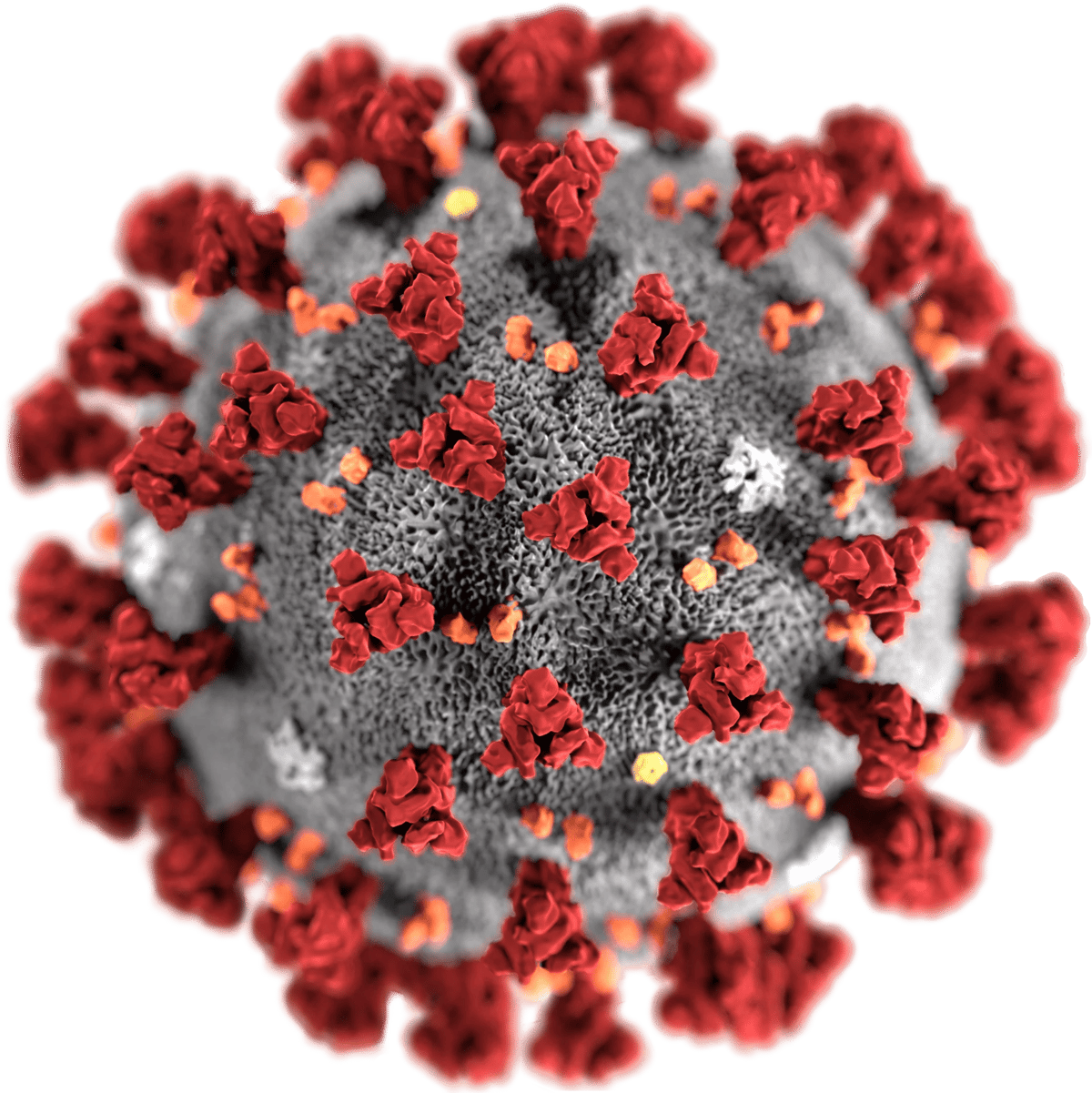 Coronavirus Package In Now Available For R Programming Language