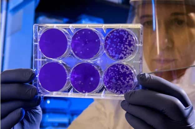 In A First, AI Discovers Antibiotic That Kills Dangerous Bacteria