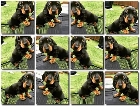 Why Does Image Data Augmentation Work As A Regularizer in Deep Learning?