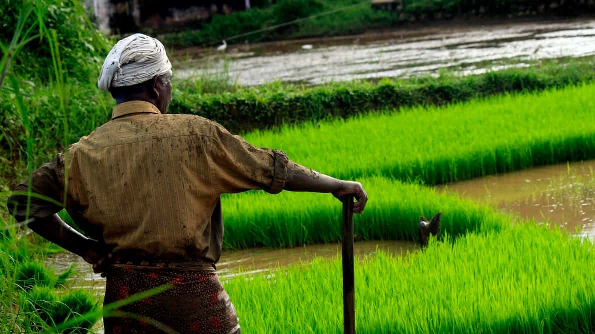 Top AI-Powered Projects In Indian Agriculture Sector: 2019