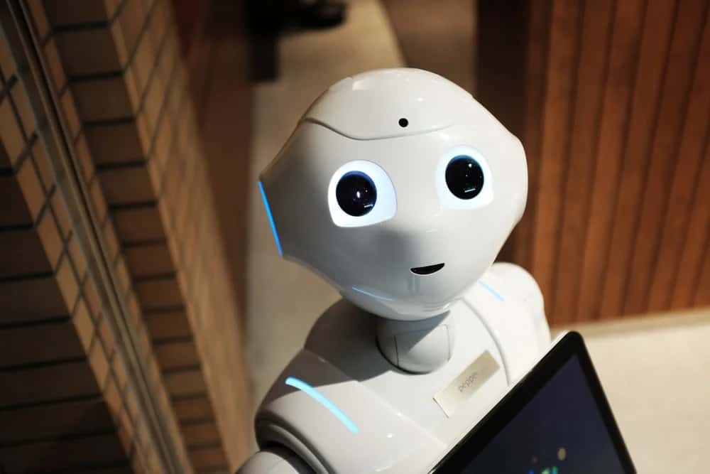 Why Children Are The Best Teachers For Artificial Intelligence