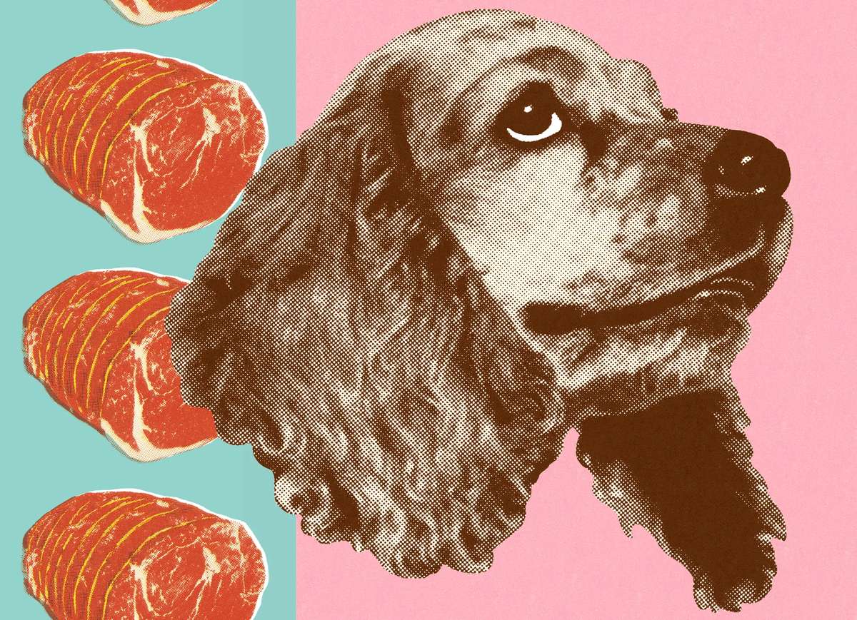 The Brains Behind AI: How Pavlov’s Dogs & Weight Loss Tips Influenced Reinforcement Learning