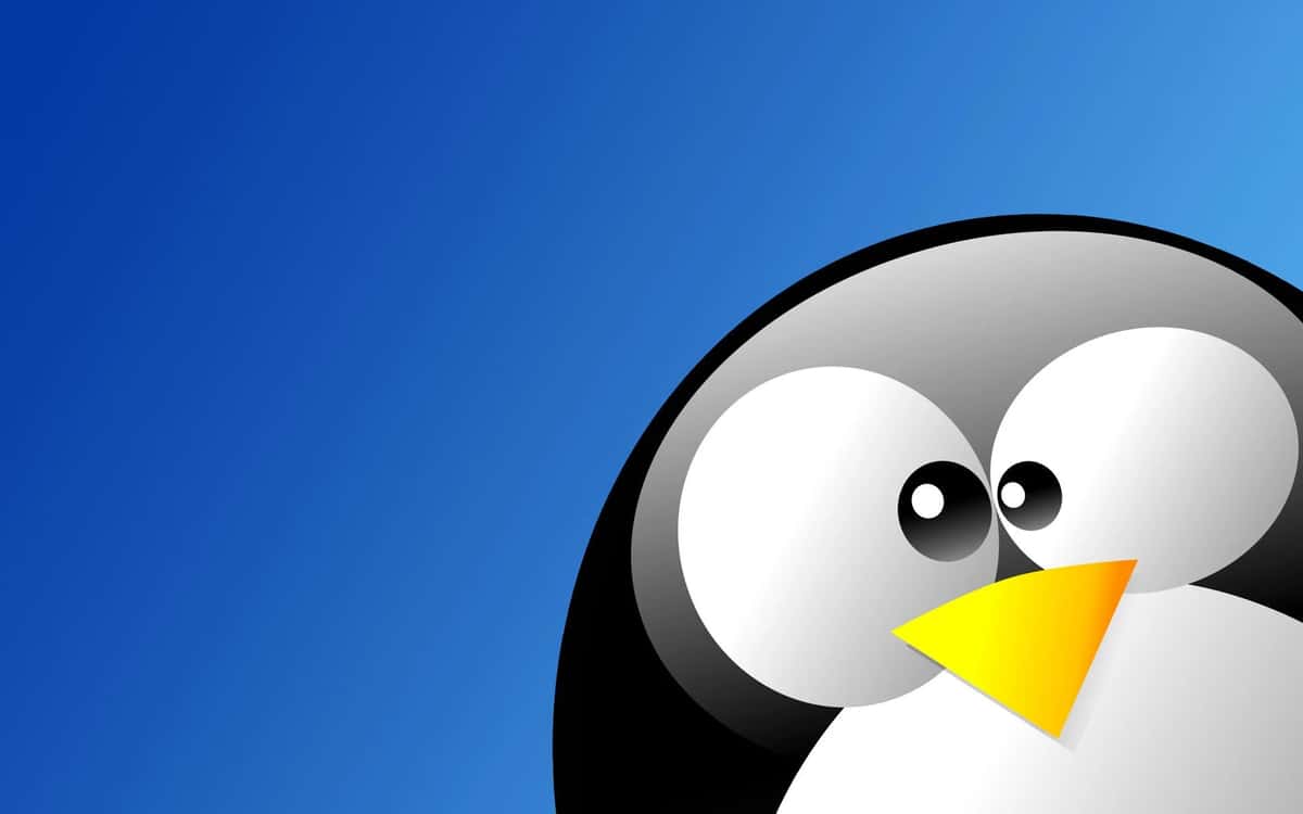 Beginners Guide To Setting Up The First Linux Distribution