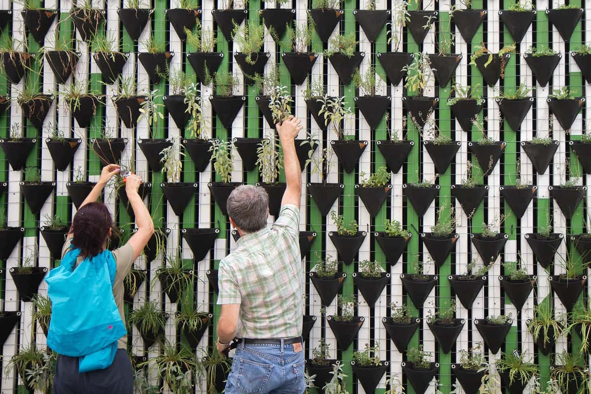 Methods That Make Data Exploration Easy in Python: Tips And Tricks For Beginners