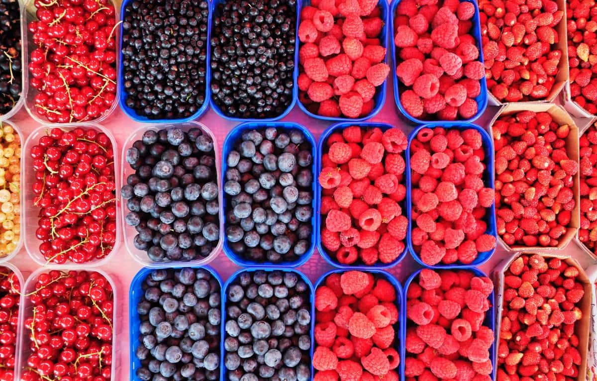How Neural Networks Are Helping Designers Find The Right Stock Image