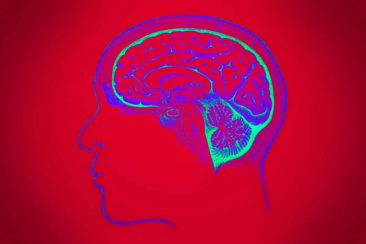 Bio-Inspired Evolutionary Algorithms Are Making Their Way Into AI