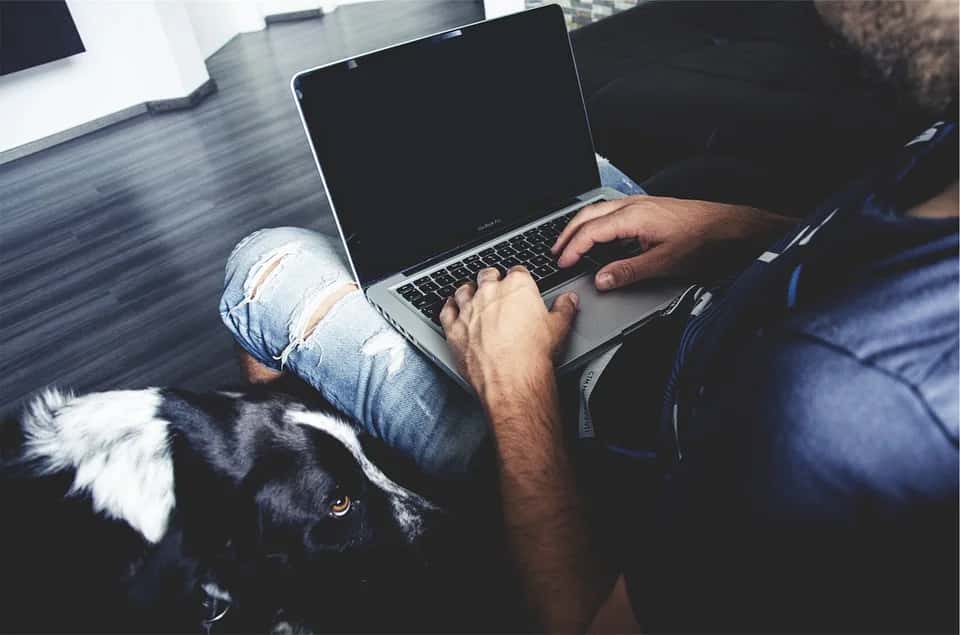 4 Python Libraries For Getting Better Model Interpretability
