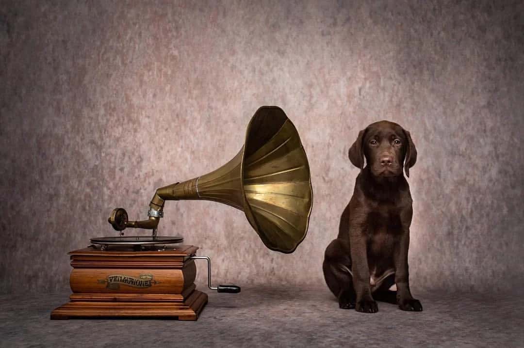 Beginner’s Guide To Building A Song Recommender In Python