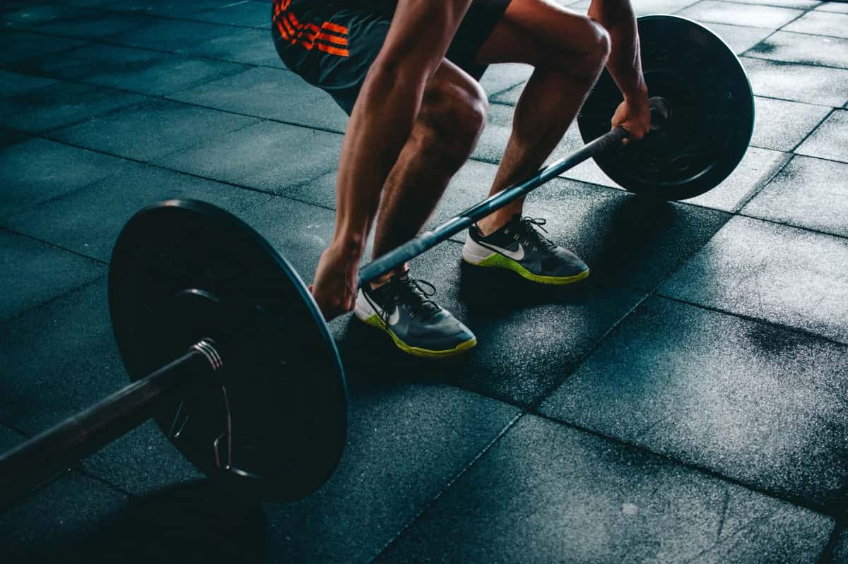 How Healthy Is Your Machine Learning Model?
