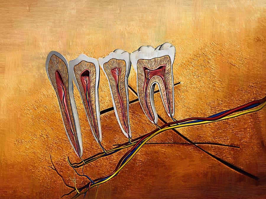 How AI Can Help Dentists Bite Off More Than They Can Chew