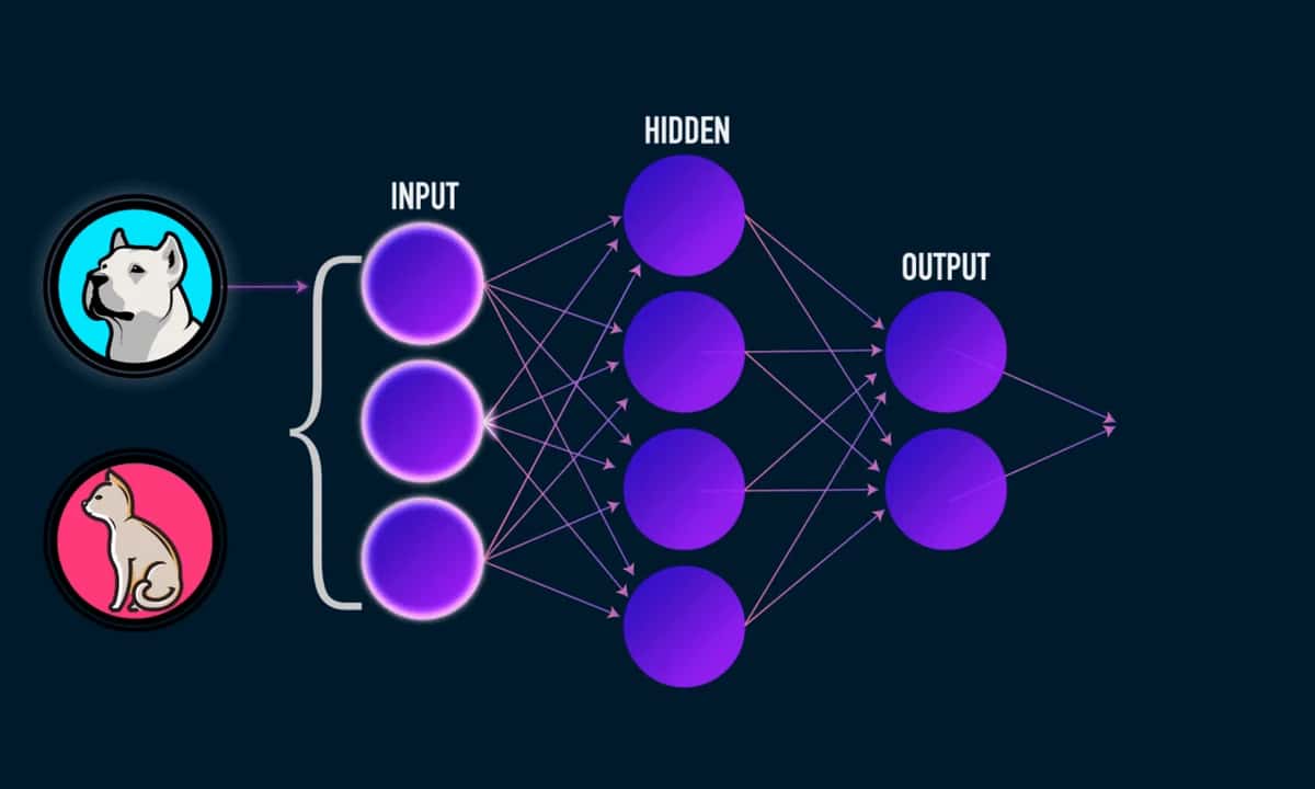 Types Of Activation Functions In Neural Networks And Rationale Behind It