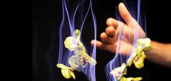 How To Talk To Plants Using Machine Learning And Gesture Recognition