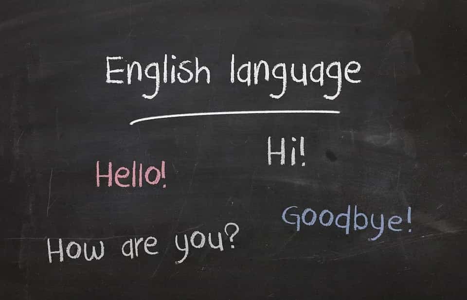 NLP Primer: Help Machines Understand Our Language