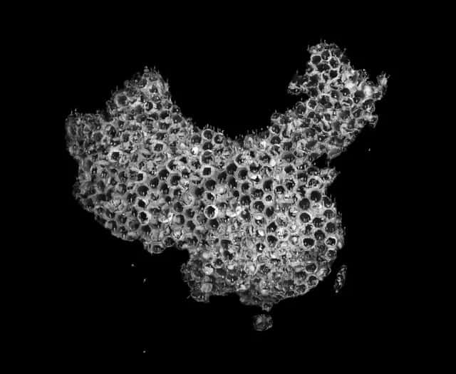 Is Big Data, China’s Unique Advantage, Also Hampering Its Growth?