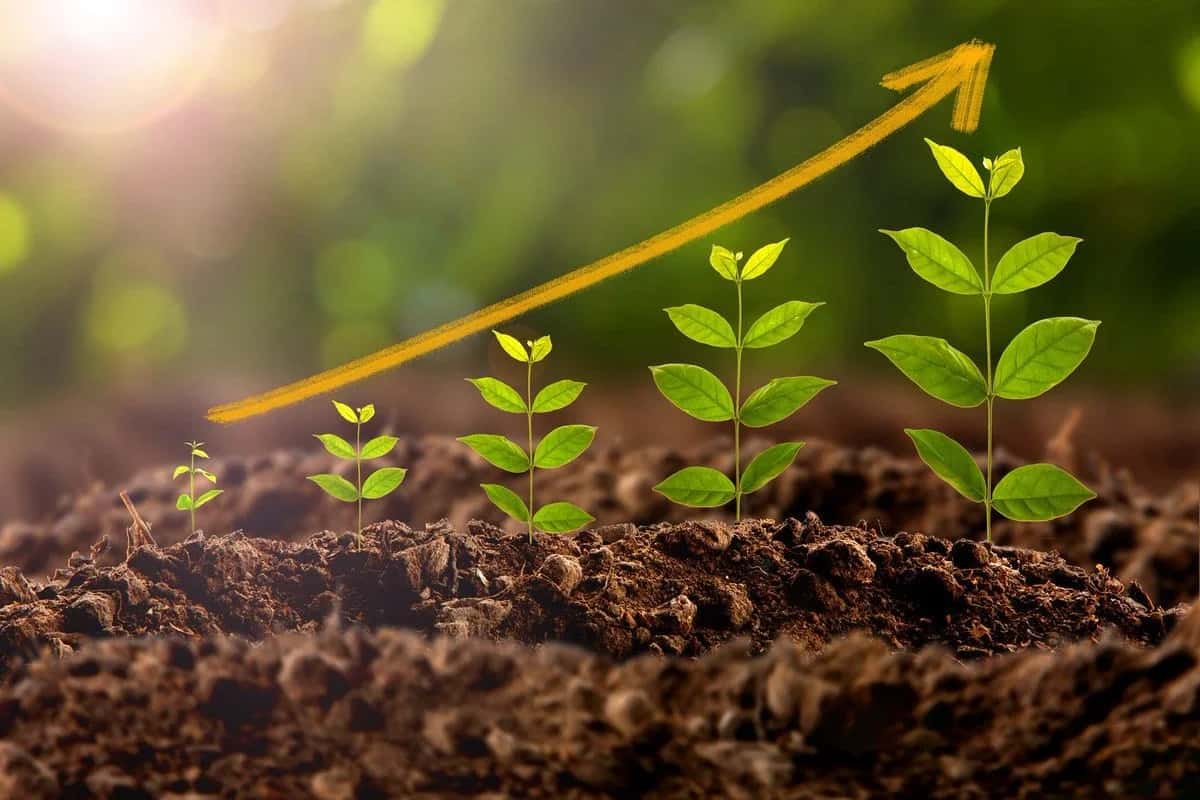 Streamlining Procurement Functions With AI-Enabled Tools