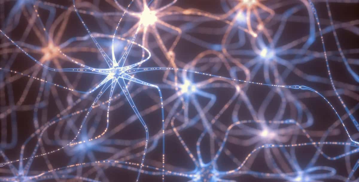 Want To Simplify Neural Networks? Transform Them Into Decision Trees