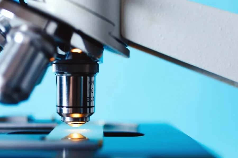 How Neural Networks Are Being Used For Skin Cancer Classification