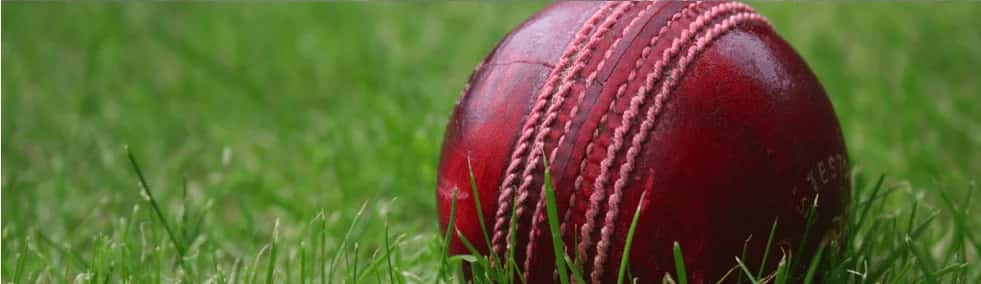 Predicting the Outcome of Cricket Matches