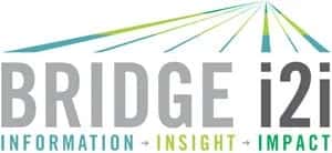BRIDGEi2i Analytics Solutions - Information Insights Impact