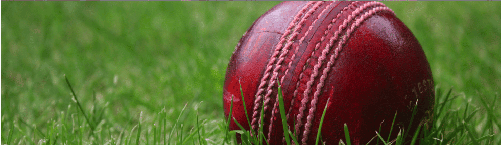 cricket