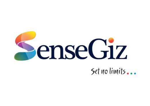 SenseGiz logo