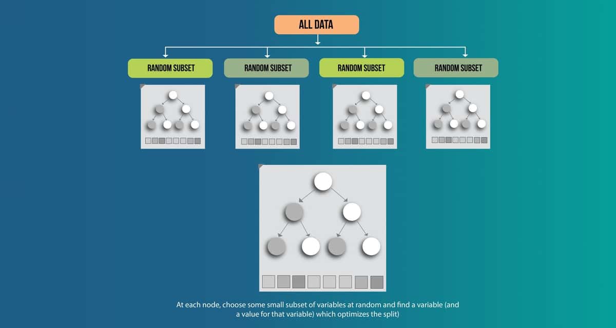machine learning algorithms