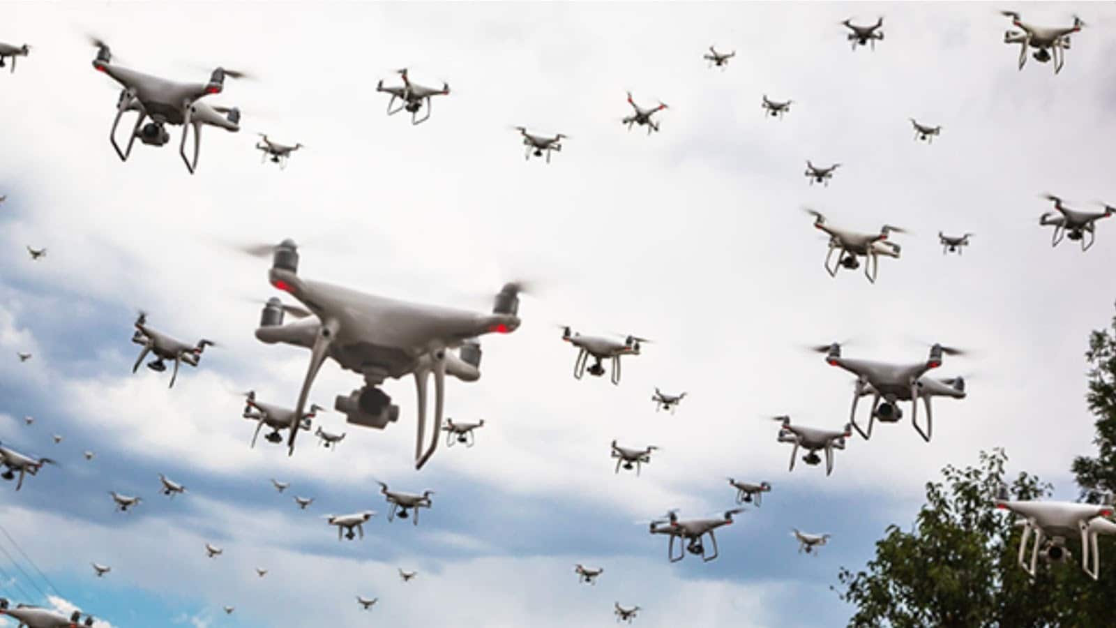 Zuppa Signs MoU with German Startup to Develop AI Swarm Intelligence