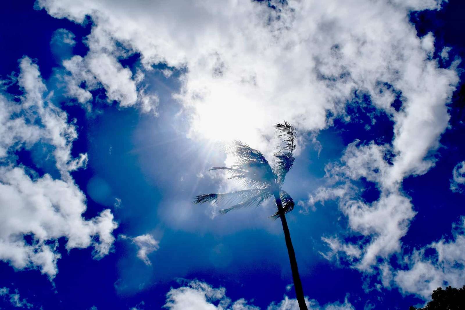 Microsoft Introduces AI Weather Forecasting Model ‘Aurora’