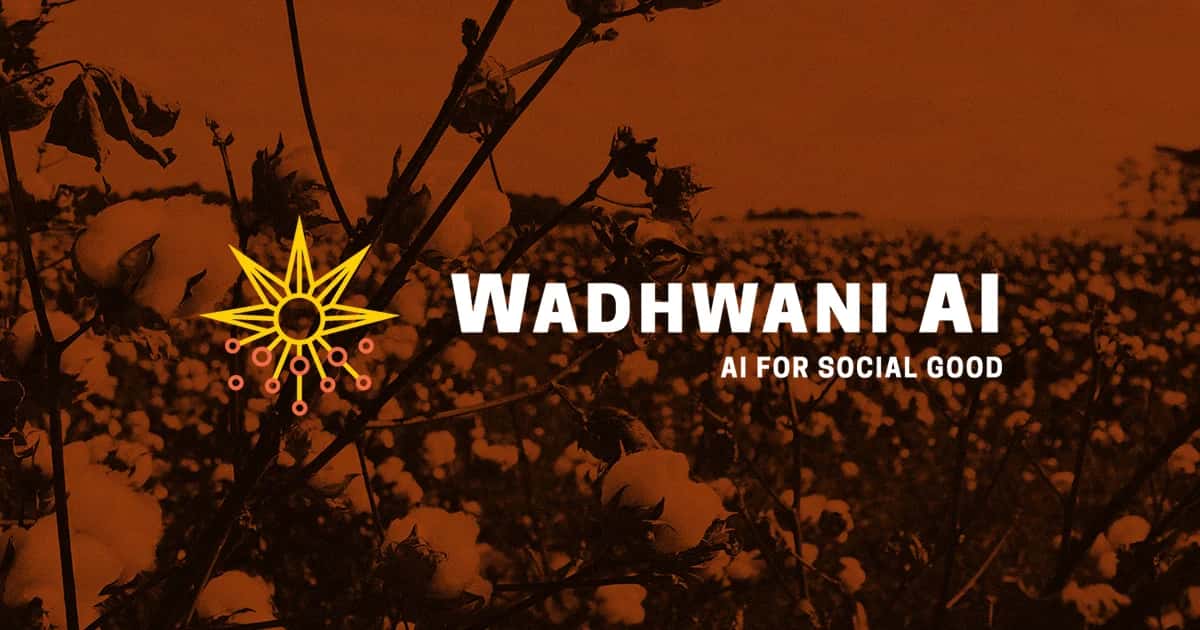 Wadhwani AI secures $3.3M Google Grant for Crop Protection in India