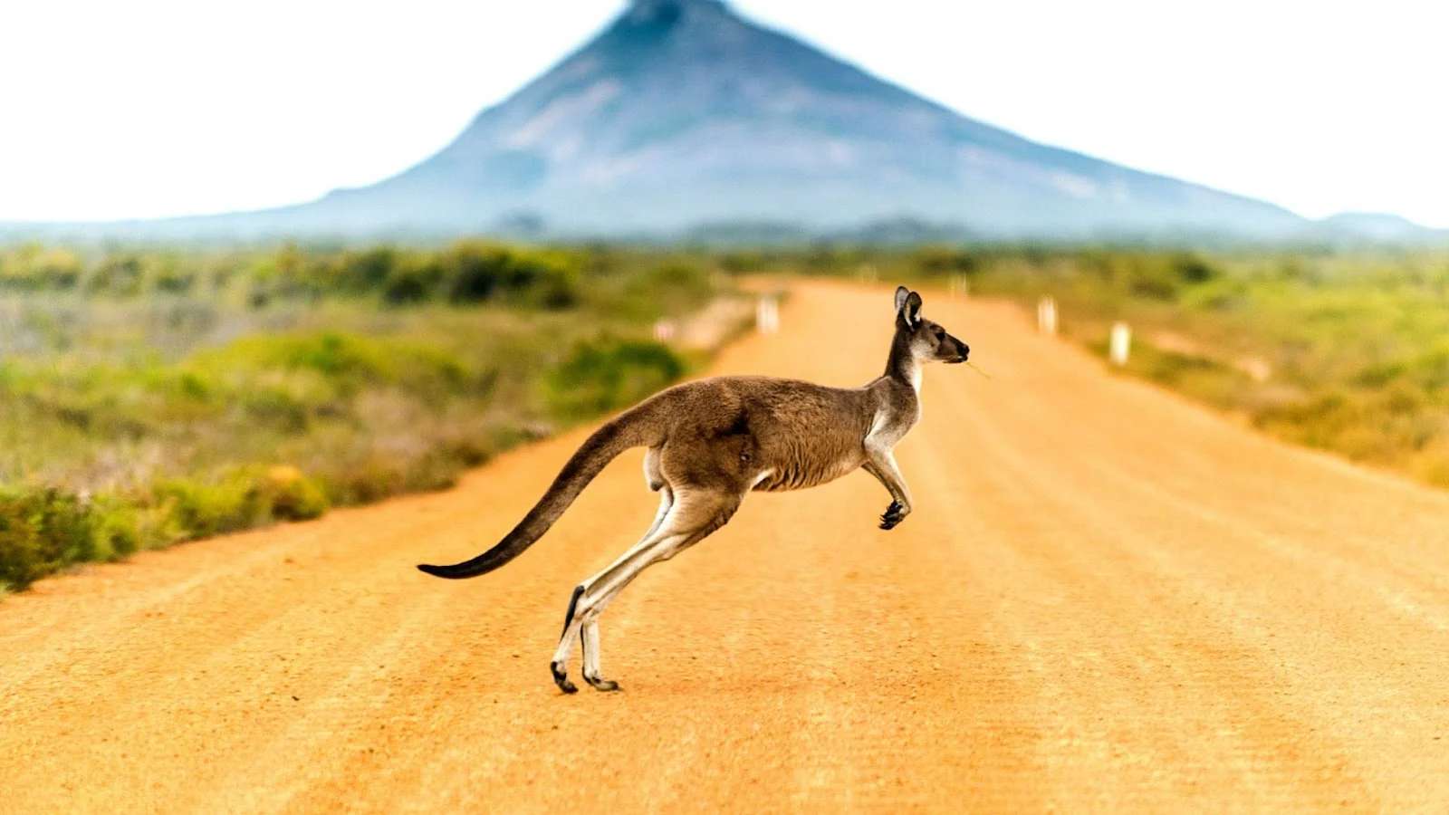 Comet Introduces Kangas, An Open Source Data Analysis and Debugging Tool