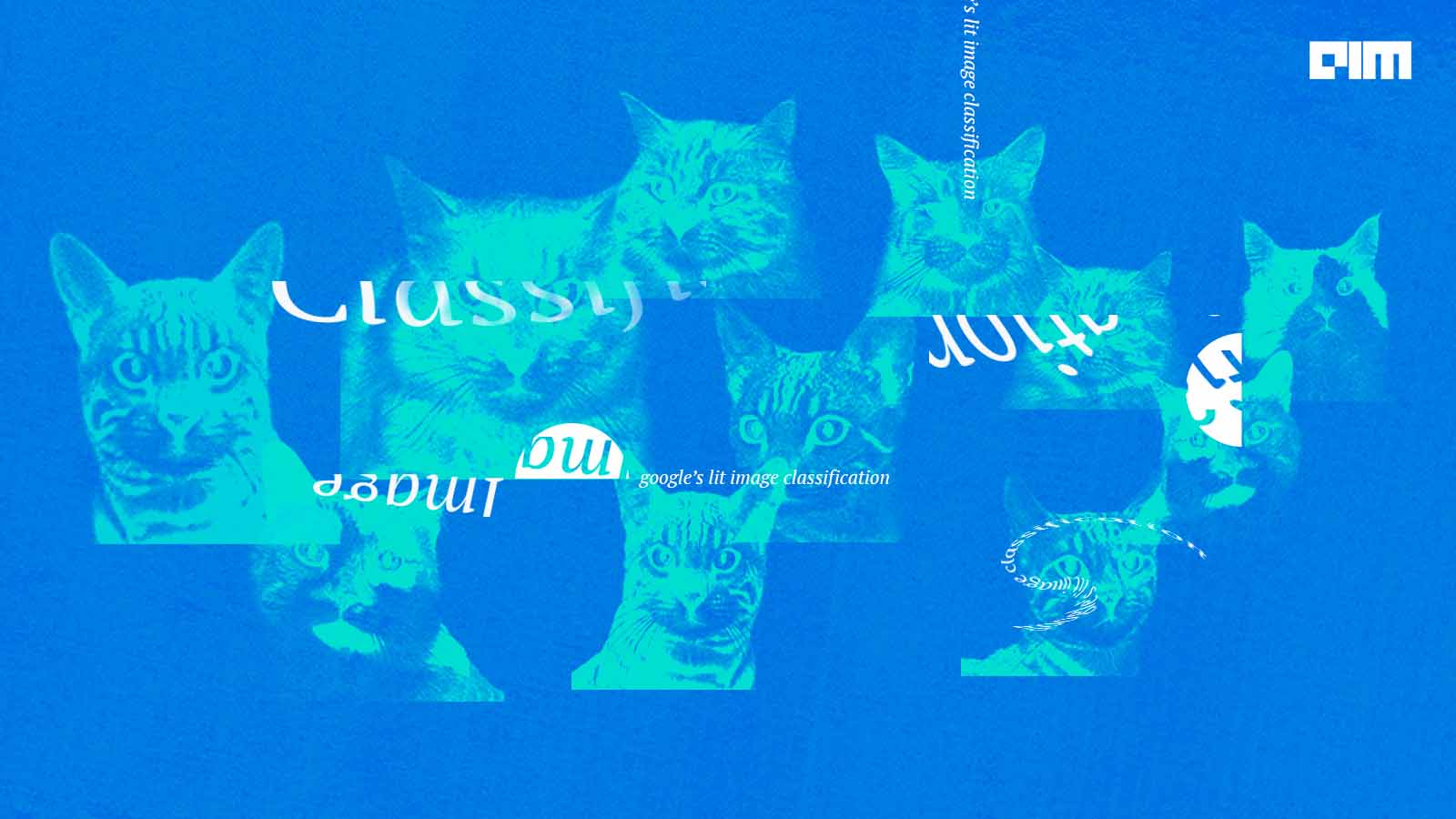 Can Google’s LiT outperform OpenAI’s CLIP at image classification?