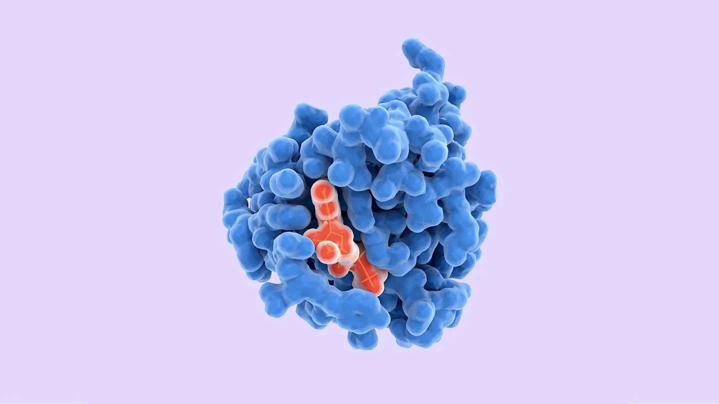 Scientists Draw New Revolutionary Proteins with the Help of AI
