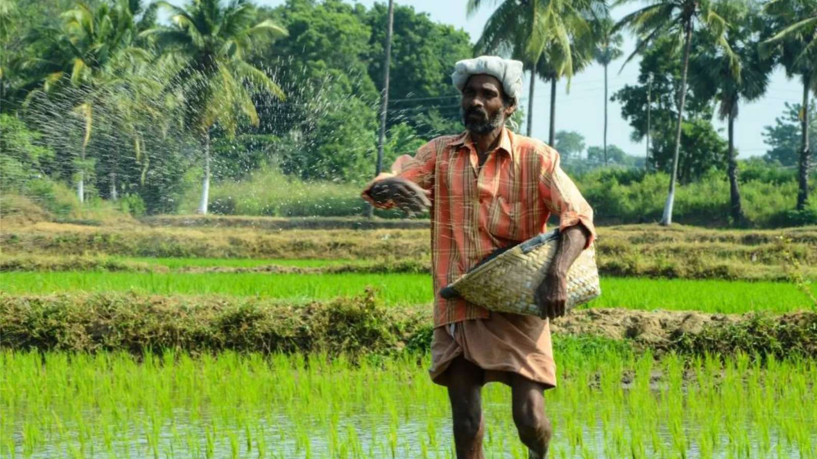 Grain commerce platform Arya.ag buys data science firm Prakshep