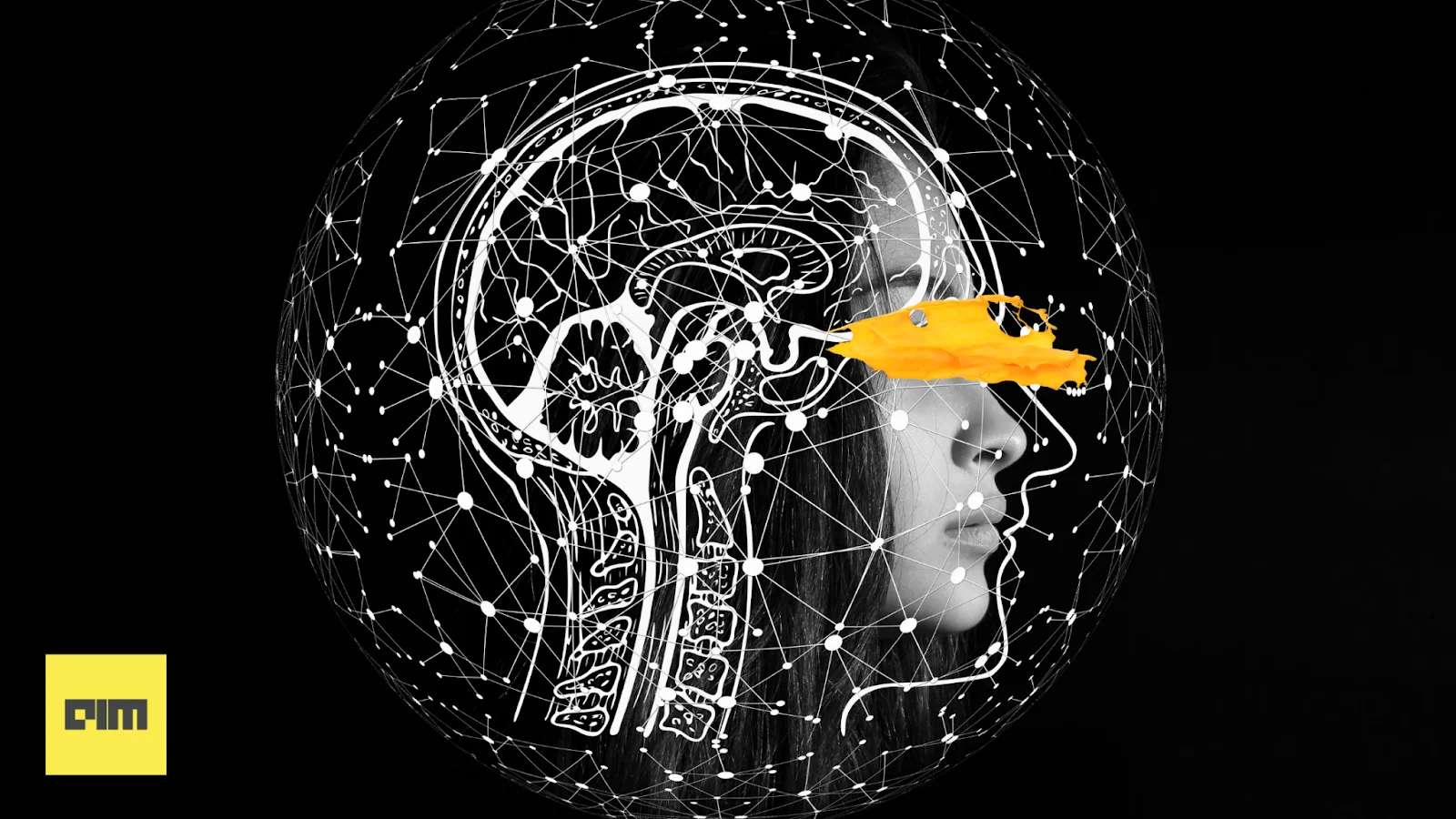 Google Releases Largest Dataset Mapping Human Brain
