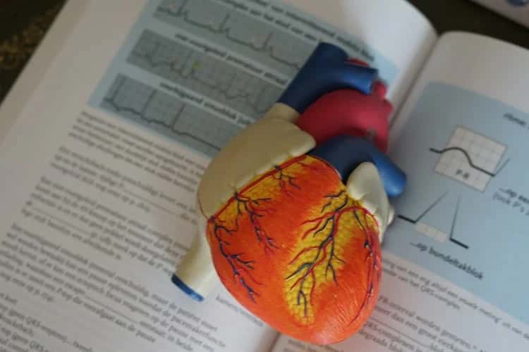 Tamil Nadu University To Use AI To Make Sure No One's Cheating During Exams