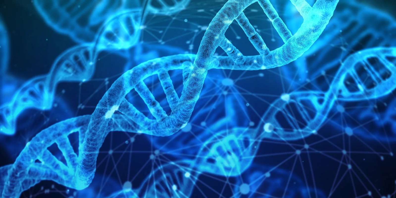 New Artificial Intelligence Model Can Predict Bowel Cancer Severity: Study