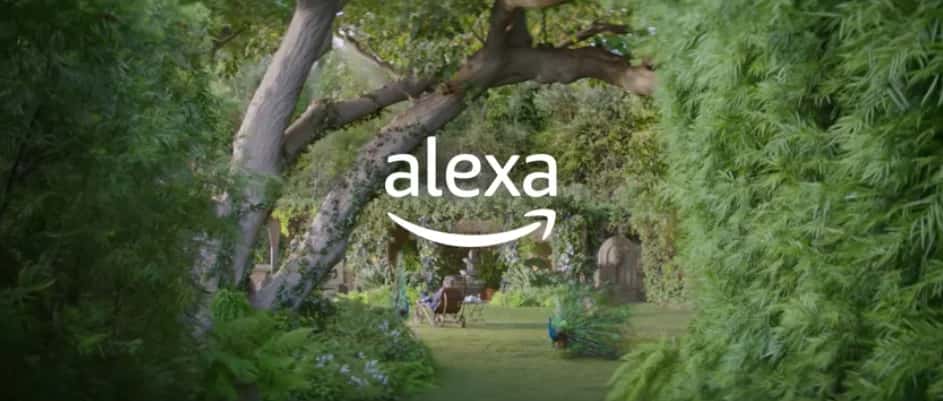 Amazon's Alexa Is Winning The AI Assistant Race, But Google Is Catching Up: Study