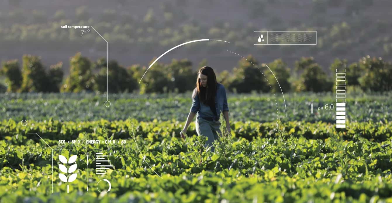 Microsoft AI For Earth Programme Selects 7 Indian Grantees