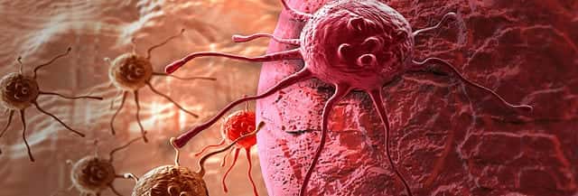 Indian Researchers Develop Light Scatter-Based Algorithm To Detect Cancer
